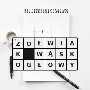 Hasło krzyżówkowe chitra indica gatunek gada z podrzędu żółwi skrytoszyjnych z rodziny żółwiakowatych występujący w bangladeszu indiach birmie nepalu i pakistanie - żółwiak wąskogłowy – rozwiązanie, synonimy, podpowiedzi i definicje krzyżówkowe